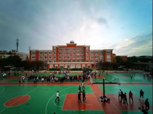 吃瓜国际学校,揭秘校园里的“瓜界风云”