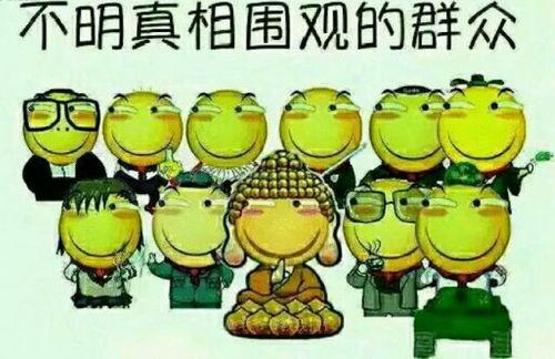 森林公安吃瓜群众,吃瓜群众眼中的守护者