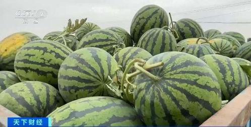 赵琪吃瓜,揭秘娱乐圈幕后故事