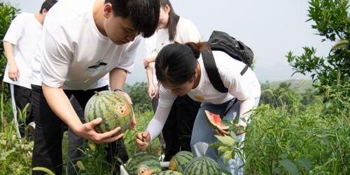 吃校园瓜,揭秘校园里的那些秘密故事