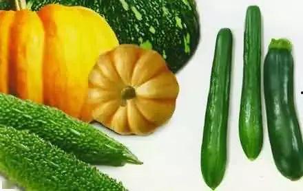 吃瓜养活完整,揭秘瓜农的致富之路