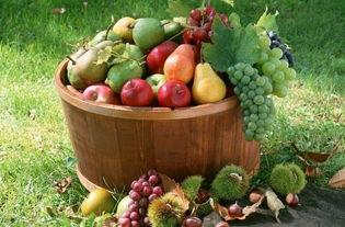 江苏农林吃瓜妹,揭秘校园美食背后的故事