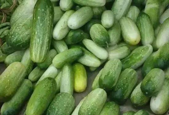 云南通威吃瓜,一场别开生面的“吃瓜”盛宴