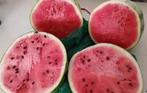 日本吃麒麟瓜,探寻麒麟瓜的神秘魅力