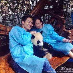 周迅头像吃瓜图片