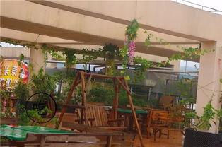 相思湖学校吃瓜