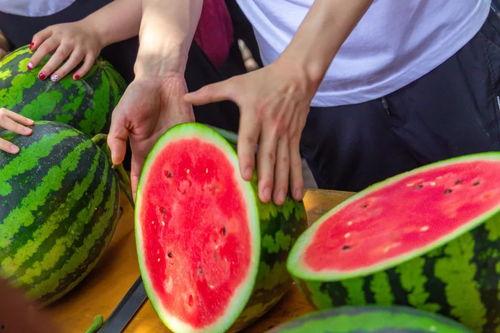 相思湖学校吃瓜