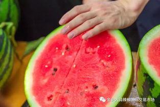 相思湖学校吃瓜