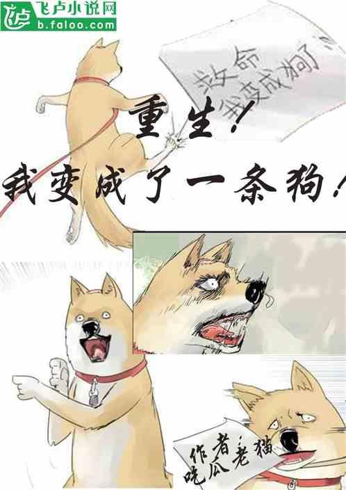 小说吃瓜的气泡,气泡中的小说世界