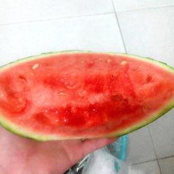 今天吃瓜吃的好爽你们呢,你呢？共享快乐时光