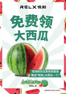 免费在线吃瓜,揭秘娱乐圈幕后故事