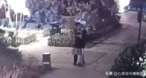 临朐吃瓜事件视频曝光,视频曝光揭示惊人真相