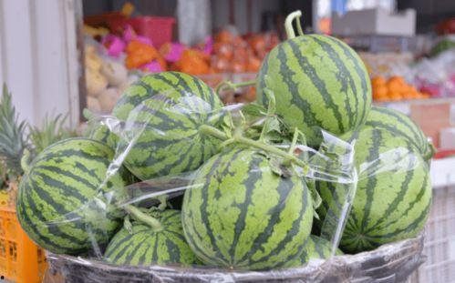 吃瓜的怏乐,畅享夏日欢乐时光