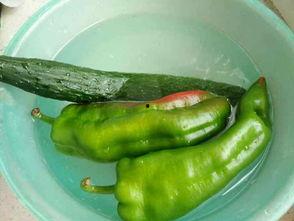 旁边吃瓜的照片,揭秘吃瓜群众的欢乐时光