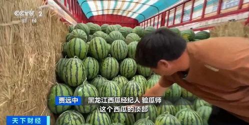 林松吃瓜,揭秘娱乐圈幕后故事