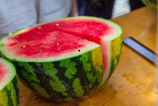 南京吃瓜大学,吃瓜大学生揭秘校园热点事件