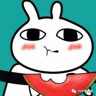 吃瓜群众小蔡,揭秘娱乐圈那些事儿