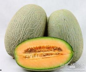 微微吃哈密瓜,哈密瓜的甜蜜诱惑
