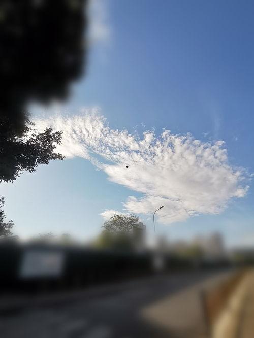 光遇归途吃瓜,揭秘吃瓜背后的故事与真相