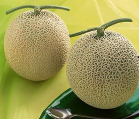 吃哈密瓜扎舌头,舌尖上的甜蜜冒险与扎舌瞬间