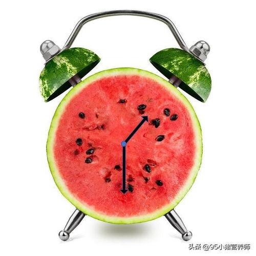 快乐吃瓜卡通头像