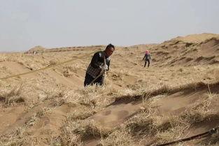 大漠吃瓜-免费吃瓜,免费畅享瓜果盛宴，尽在大漠吃瓜平台  第3张