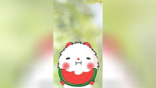 老鼠吃瓜直播,老鼠的美食探险记  第3张