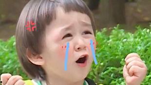 吃瓜侠腮红08,时尚妆容新宠，点亮你的美丽瞬间