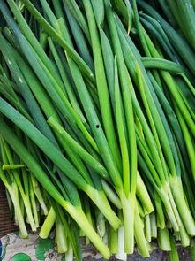 富寿瓜怎么吃,解锁美味新体验  第3张