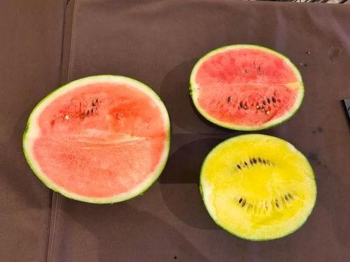 大颖吃瓜,揭秘娱乐圈幕后故事  第2张