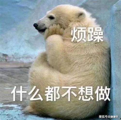 吃瓜群众瓜哥表情包图片,吃瓜群众的欢乐源泉  第3张