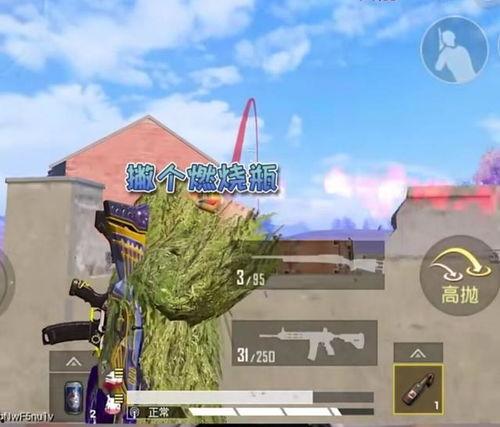 吃鸡歪瓜音效,揭秘“吃鸡歪瓜”的独特魅力  第3张