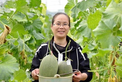 带你吃瓜新作品,揭秘娱乐圈幕后风云  第3张