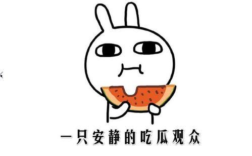 完全吃瓜啥意思  第2张