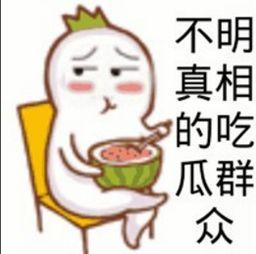 完全吃瓜啥意思  第3张