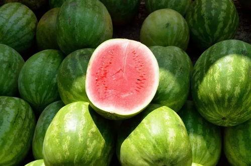 吃瓜吃的是西瓜吗英语,Is Eating Watermelons What 'Eating Melons' Refers To in English?  第3张